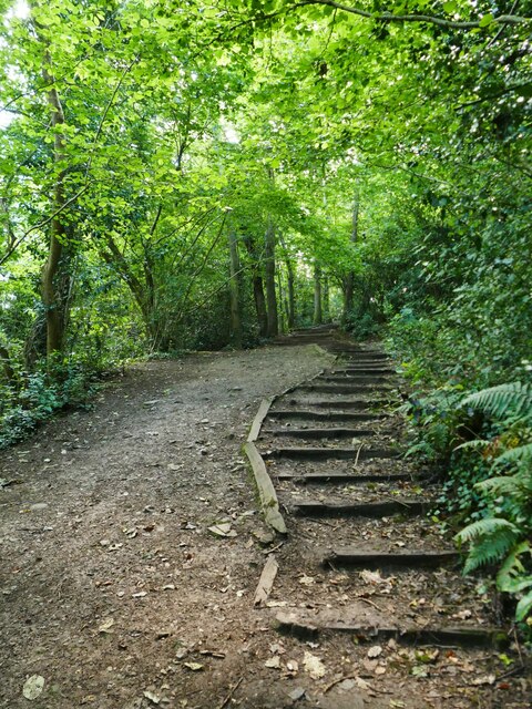 Steps up Bryn Euryn © Stephen Craven cc-by-sa/2.0 :: Geograph Britain ...