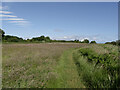 The Cleveland Way, Ravenscar