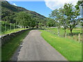 Minor road near the Fish Farm at Inverailort