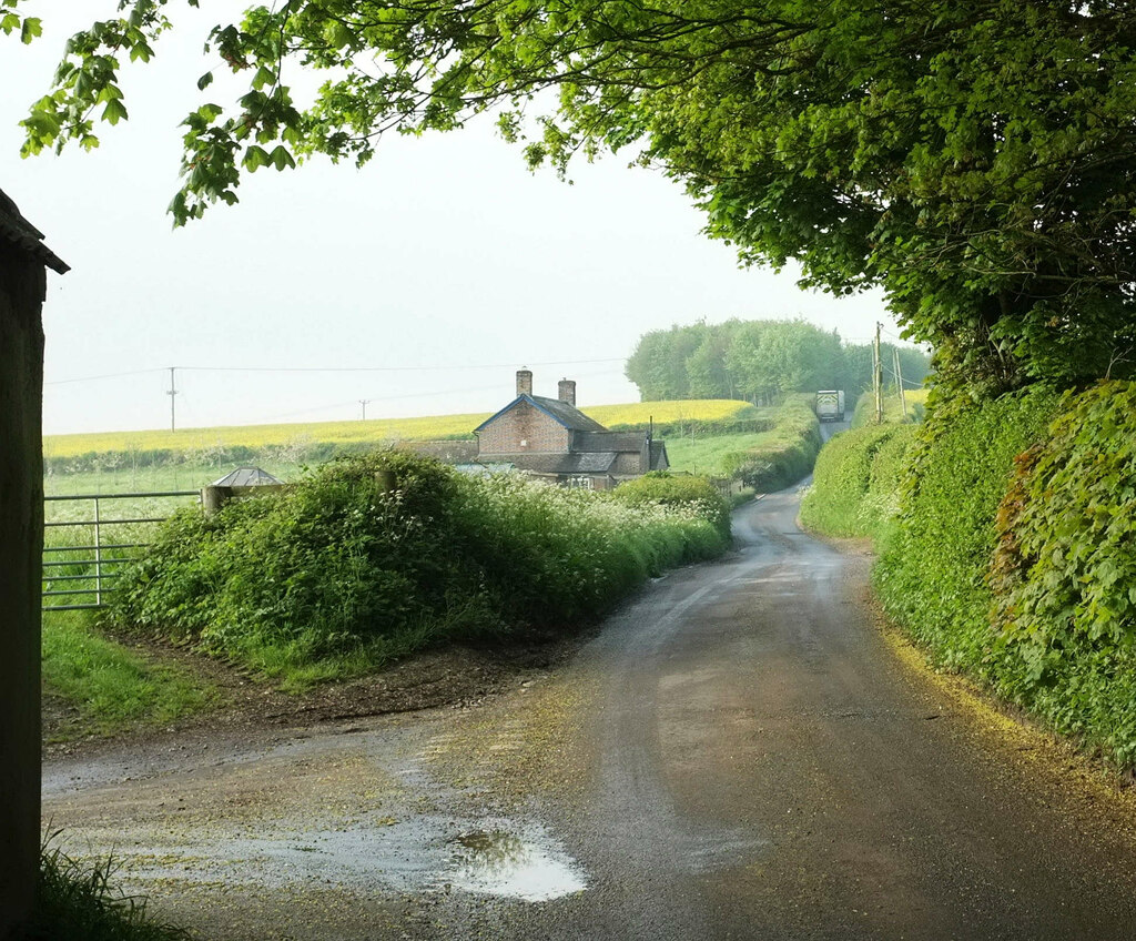 Lane to the A354 © Derek Harper cc-by-sa/2.0 :: Geograph Britain and ...