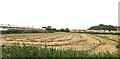 Hay making, Williton