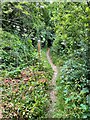 Footpath to Milford Bridge