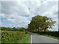 Start of a long straght, Willington Road, Oscroft