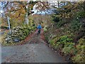 The track and footpath at Dref Gerrig