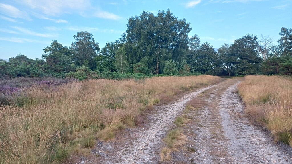 Sandy track on Yateley Common © David Martin :: Geograph Britain and ...