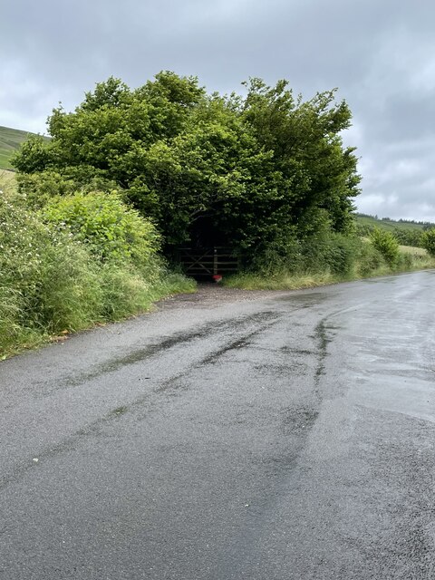 Entry into a holloway to Clough Farm