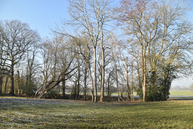 Wooded pond © N Chadwick :: Geograph Britain and Ireland