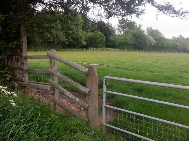 Gate above Dorstone © Richard Webb cc-by-sa/2.0 :: Geograph Britain and ...