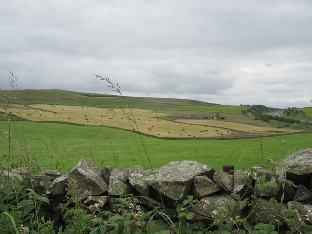 Near Green Dykes © T Eyre :: Geograph Britain and Ireland