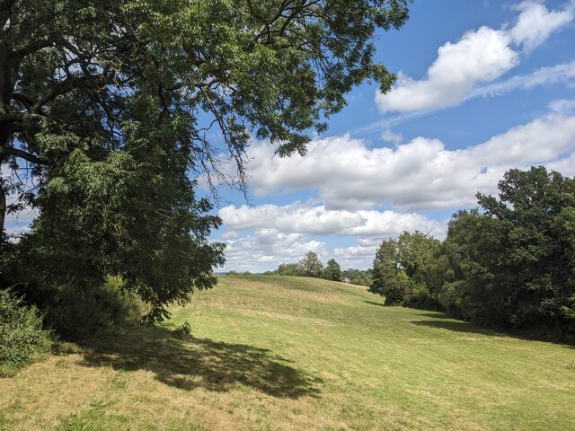 Grassland At Little Hereford © Fabian Musto :: Geograph Britain And Ireland