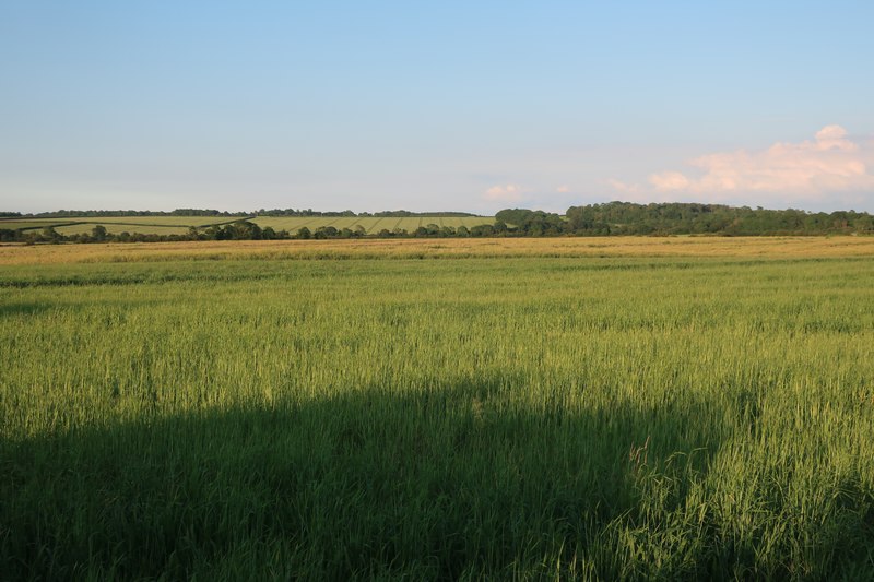 RSPB Hope Farm © Hugh Venables cc-by-sa/2.0 :: Geograph Britain and Ireland