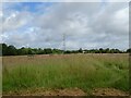 Grassland and pylon north of the B5062