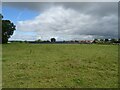 Cattle grazing and solar farm, Roden