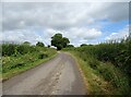 Bend in Muckleton Lane