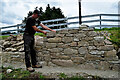 Building a stone wall, Tattynure