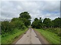 Minor road towards Butlersbank, Muckleton