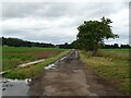 Track towards Home Farm