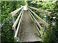 Footbridge over the stream