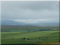 Rain squalls above Brecon viewed from Banc y Celyn south of Builth