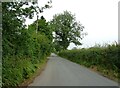 Lodmore Lane towards the A525