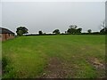 Grazing off Coole Lane