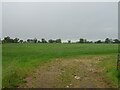 Grassland near Pinnacle Farm