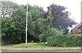 Woodland by Chapel Break Road, Bowthorpe