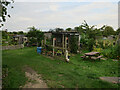 Burnside Allotments