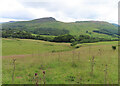 Grassland near Garth