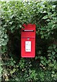 Elizabeth II postbox on Green Lane, Upper College