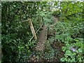 Footbridge over tributary of Coundmoor Brook