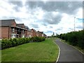 Walkway Alongside Cowdell Grove