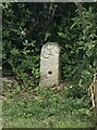 Old Boundary Marker on Angarrack Lane, Connor Downs