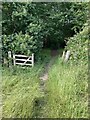 Footpath from North Holmwood to Dorking