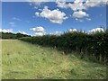 Footpath south of Dorking