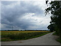 Lane to a gas valve compound, Bennington Fen