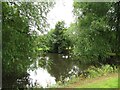 Smaller pond, Wressle Brickyard Farm