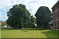 Lawn and Trees at south-east end of St George