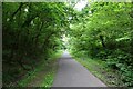 Cycle path in Penrhos Cutting