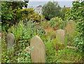 Overgrown graves, Beverley