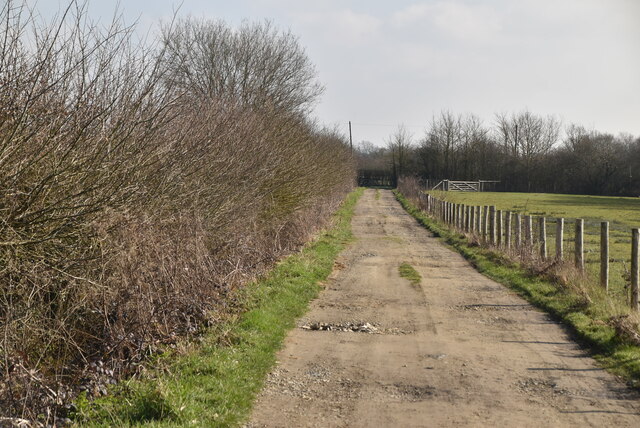 Track to Battle Lane © N Chadwick cc-by-sa/2.0 :: Geograph Britain and ...