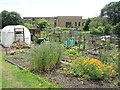 Rotton Row allotments