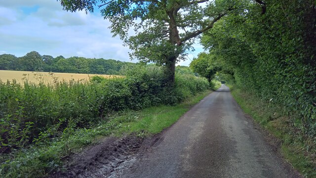 Steventon Warren Lane © Peter Whatley cc-by-sa/2.0 :: Geograph Britain ...