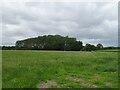 Grassland and woodland, Hortonlane