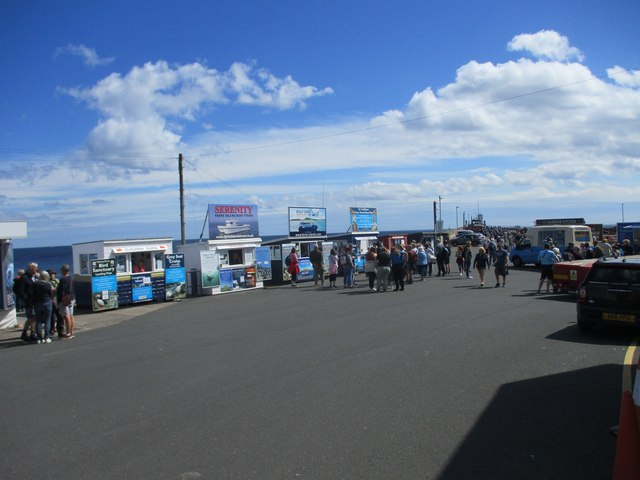 The  Farne  Islands  boat  trips  are  big  business