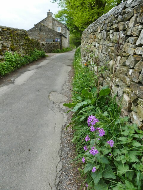 Back Lane, Reeth © Stephen Craven cc-by-sa/2.0 :: Geograph Britain and ...