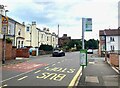 Bus Stop on Bingham Road