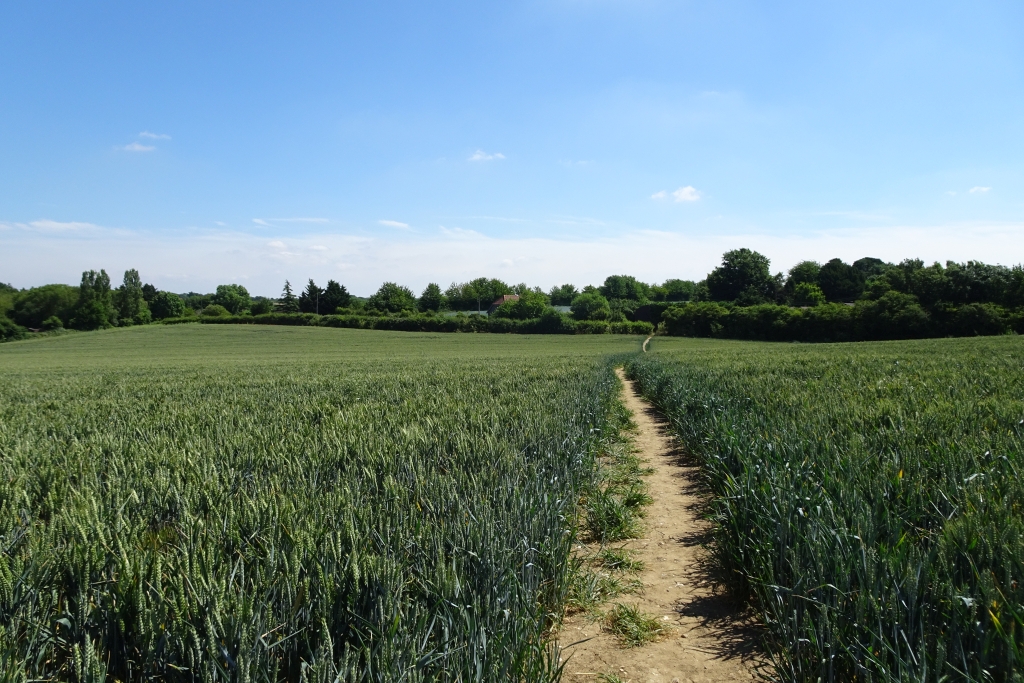 Footpath approaching Petham Court Farm © DS Pugh :: Geograph Britain ...