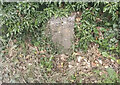 Old Milestone by Tinhead Road, Edington