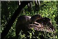 View of an otter statue in the garden area in City Island